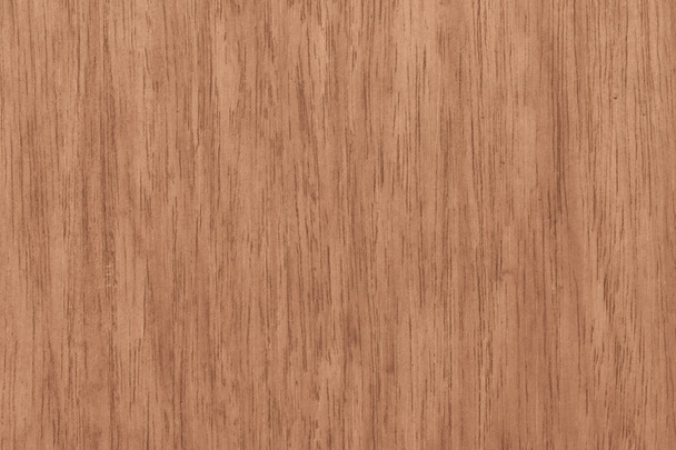 Holz Textur Hintergrund für Design und Dekoration - Foto, Bild