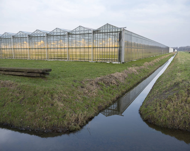 Голландська парникових Світильники на у Нідерландах поблизу Алмере - Фото, зображення