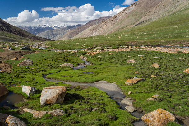 Warila pass in summer in Leh city, Leh, Ladakh, Jammu Kashmir, I - Photo, Image