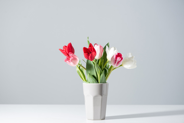 beautiful blooming white, pink and red tulips in vase on grey - Photo, Image