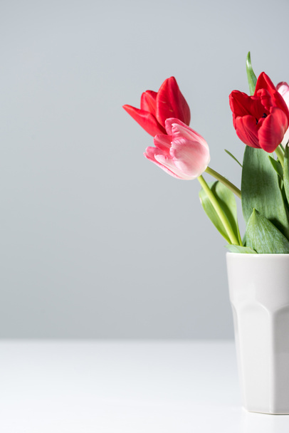 close-up view of beautiful blooming red and pink tulip flowers in vase on grey - Photo, Image