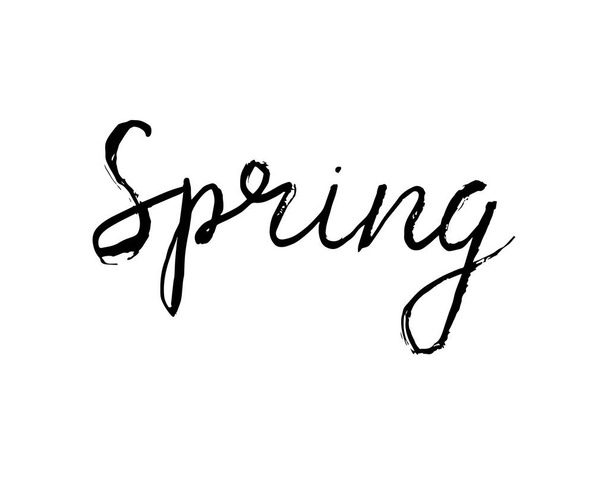Spring - calligraphy grunge word. - Vector, Image