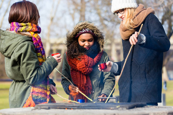 Group of young people roasting sausages outdoors - Foto, Imagem