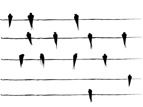 Силуэты птиц на проводах
 - Вектор,изображение