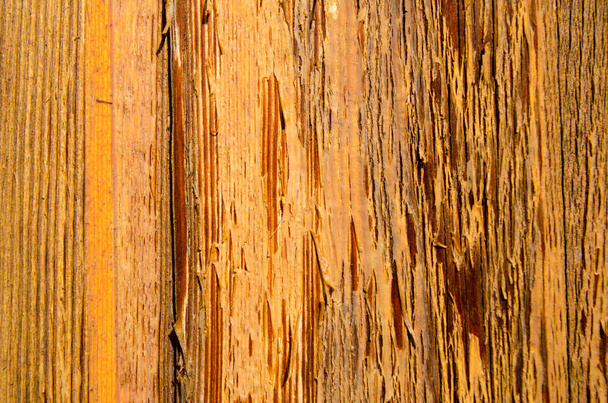 Un fondo de madera
 - Foto, imagen