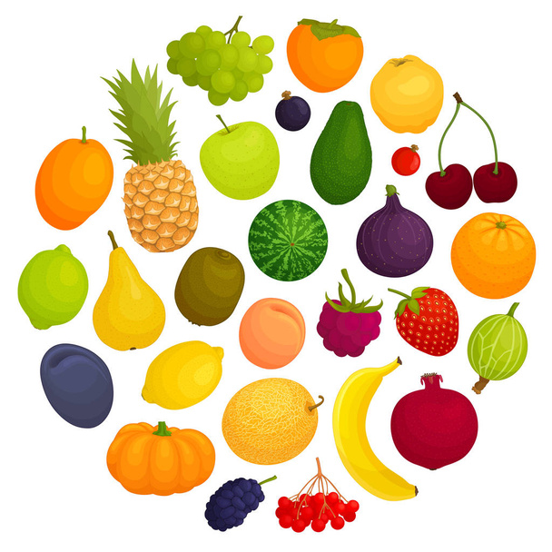 Vector fruit. A set of various fruits. - Vektor, Bild