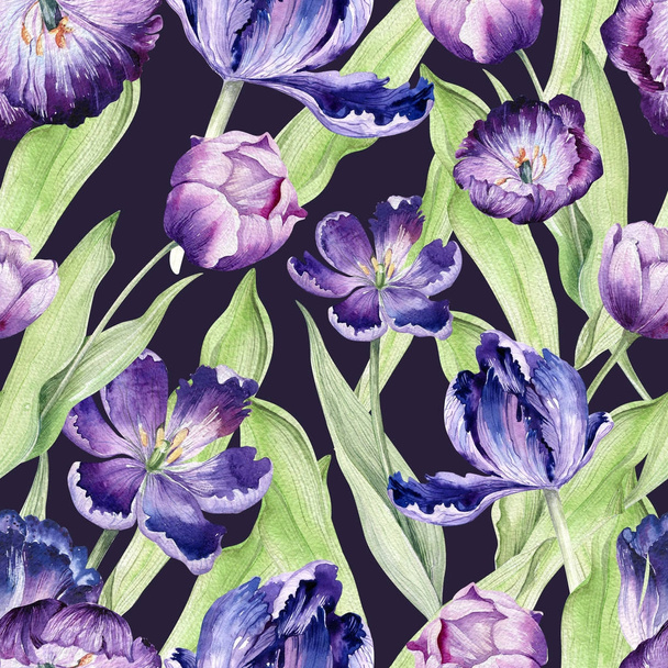 Watercolor floral tulip backgraund. Seamless colorful spring pattern. Watercolour violet tulip plant. Purple blossom fasion drawing. - Foto, immagini