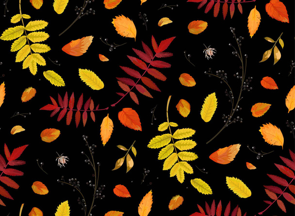 Vector Seamless patten background in watercolor style Autumn fall season colorful orange yellow, red fall leaves of forest maple, oak rowan tree. Botanical textile, wallpaper print on black background - Vector, Image