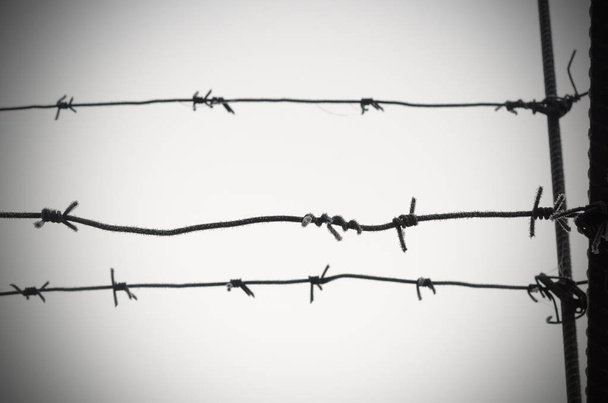 El alambre de púas es un símbolo de falta de libertad, privación y campos de concentración
. - Foto, Imagen