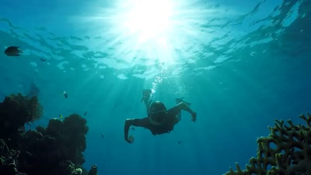 Zanurzenie w głębi morza bez nurkowania - Materiał filmowy, wideo