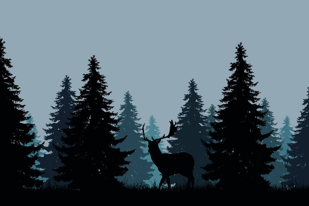 coniferous forest with a fallow deer - Vector, Image