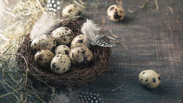 Ovos de codorna em ninho com penas e feno
 - Foto, Imagem