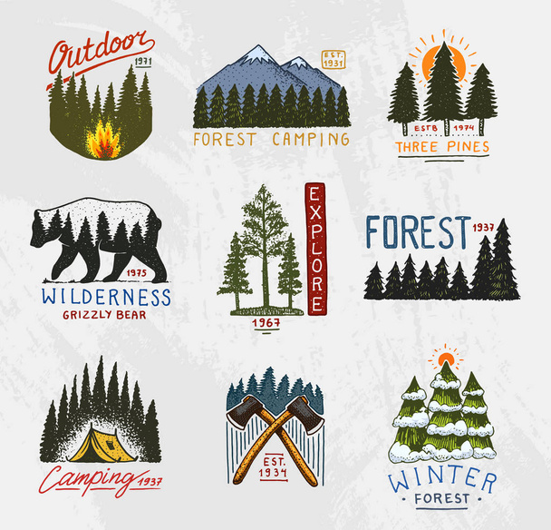 camp logo, mountains coniferous forest and wooden badges. engraved hand drawn in old vintage sketch. emblem tent tourist, travel for labels. outdoor adventure landscapes with pine trees and hills. - Vector, Image