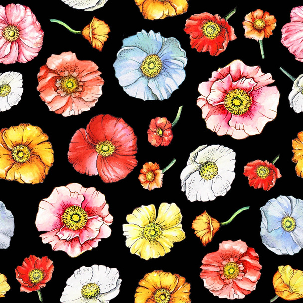 黒い背景に多色のケシの花を水彩のシームレス パターン - 写真・画像
