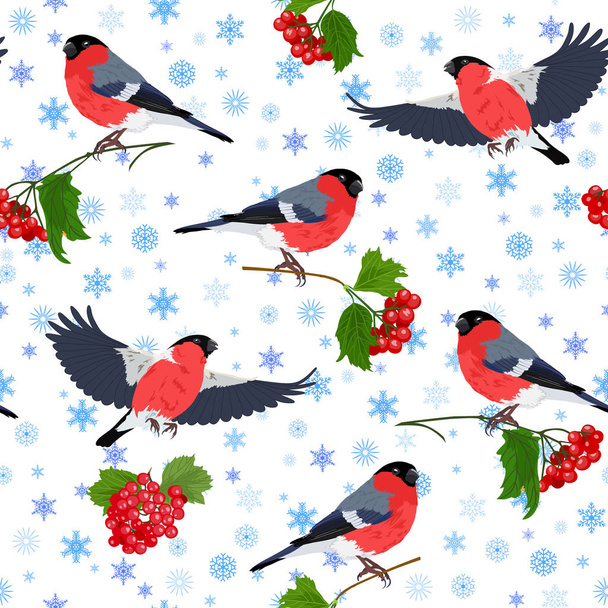 Vectorillustratie van de Goudvink, guelder-rose en sneeuwvlokken naadloze patroon - Vector, afbeelding