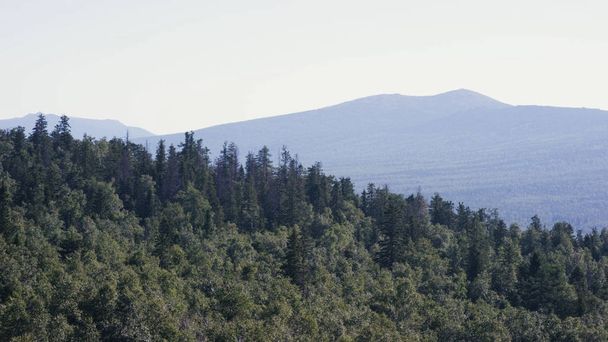 Велична панорама зелених гір з сонячними променями. Гори в ранковому тумані. літній пейзаж. Туман з хвойних лісів оточує вершину гори під час заходу сонця
 - Фото, зображення