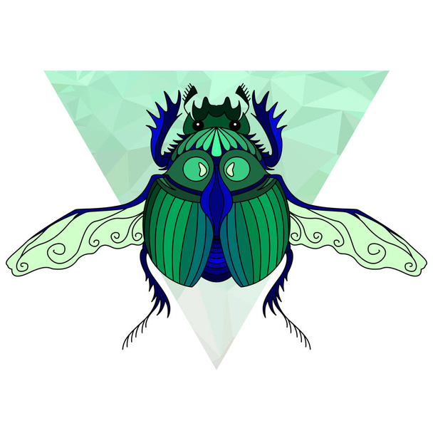 Scarab bug, Egyptian symbol, wildlife bug, vector illustration  - Vector, Image