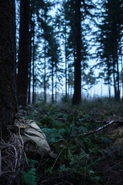 elveszett közelében fa zöld hátizsák - Fotó, kép