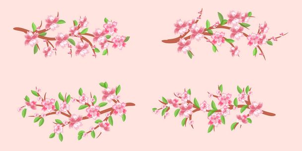 Kirschzweige in voller Blüte. Kirschblüten. feder.vektor  - Vektor, Bild