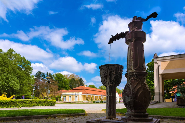 Фонтан и историческое здание на курортном острове Пьештяны (Словакия)
) - Фото, изображение