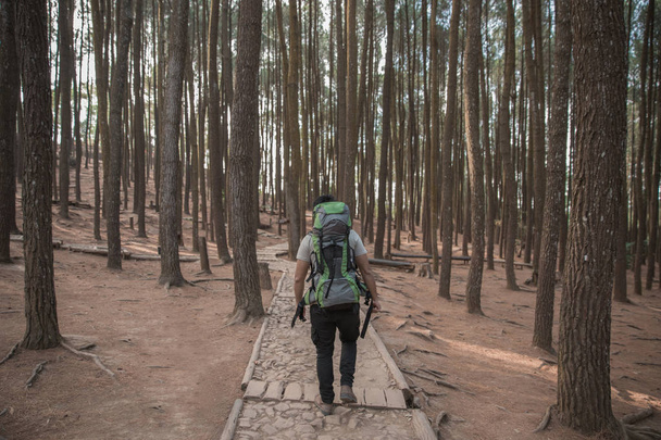 man hiking in forest.  - Φωτογραφία, εικόνα