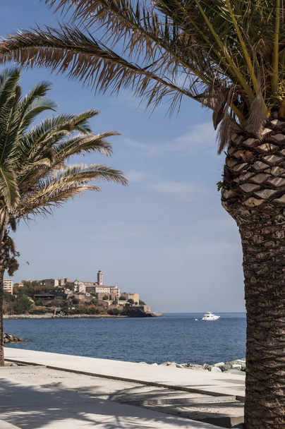 Córcega, 03 / 09 / 2017: el horizonte de la antigua ciudadela de Bastia, la ciudad en el noreste en la base del Cap Corse, visto a través de las palmeras en el paseo marítimo
 - Foto, Imagen