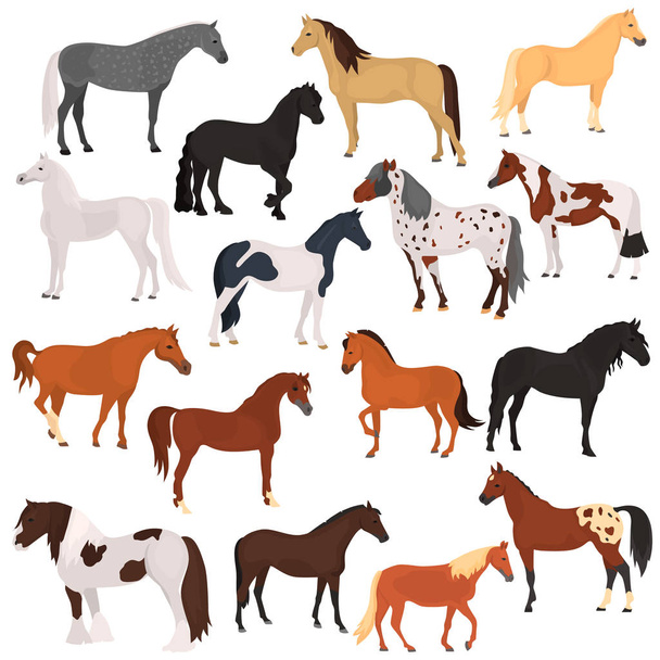 Horse breeds color flat icons set - Vector, Image