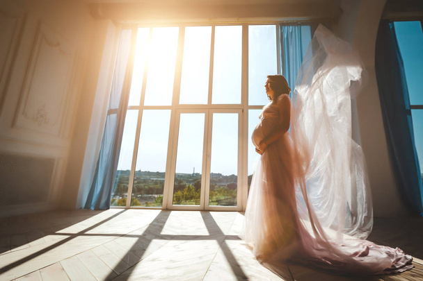 Young pretty pregnant model standing near window - Fotografie, Obrázek