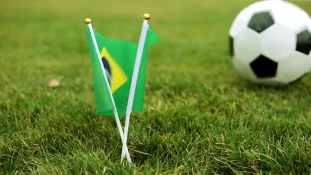 Бразильский флаг и футбольный мяч на газоне
. - Кадры, видео