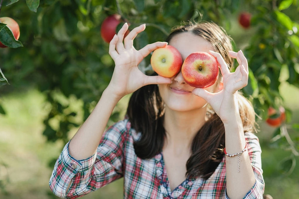Girl with red apples in Orchard garden. Harvest Concept. - Фото, зображення