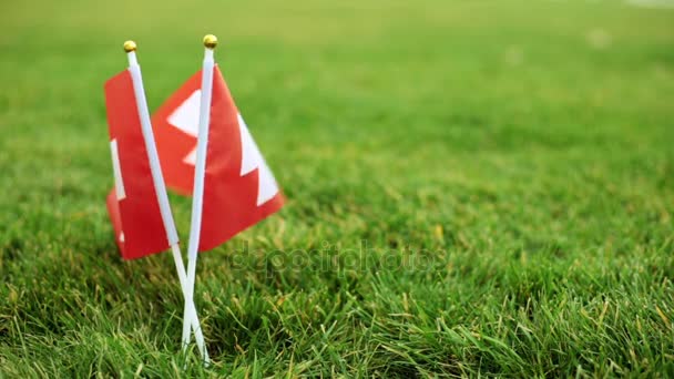 Флаг Швейцарии и футбольный мяч. Флаг Швейцарии и футбольный мяч на траве
. - Кадры, видео