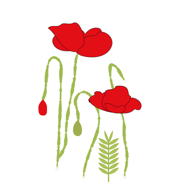 Gentle floral background with red poppies. Patterns for textiles. - Vector, afbeelding