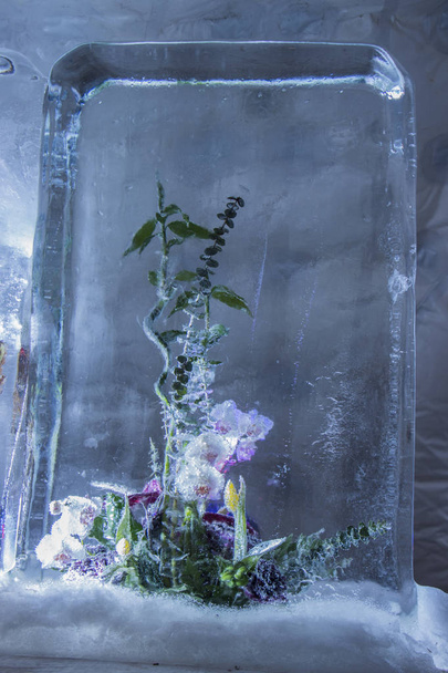 Escultura de hielo de flores en un bloque de hielo congelado
 - Foto, Imagen