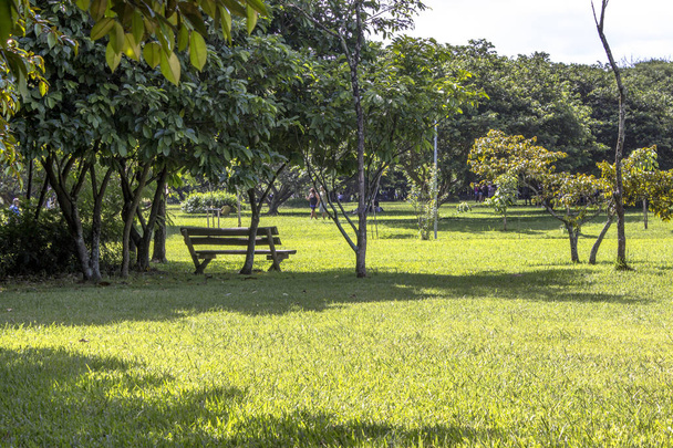 Sao Paulo, Brasilia, 20. tammikuuta 2012, People in Villa Lobos Park. Puisto on hyvä paikka kävelijöille, pyöräilylle ja keidas luistelijoille
. - Valokuva, kuva