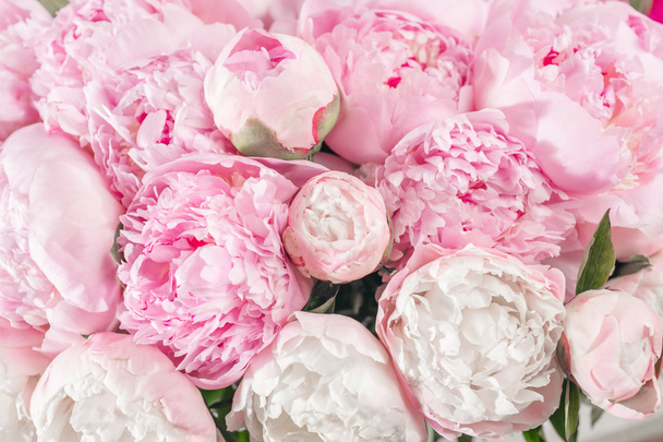 Elegancki bukiet dużo piwonie kolor różowy z bliska. Piękny kwiat za wakacje. Mnóstwo piękny i romantyczny kwiaty w kwiatowy sklep. - Zdjęcie, obraz