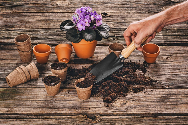 Planting a potted plant on natural wooden background in garden - Fotoğraf, Görsel