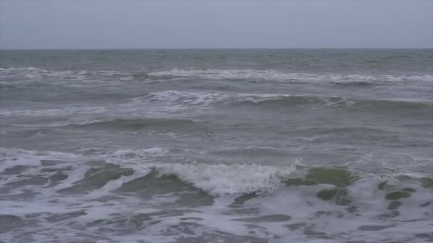 Burza na wybrzeżu Oceanu - Materiał filmowy, wideo