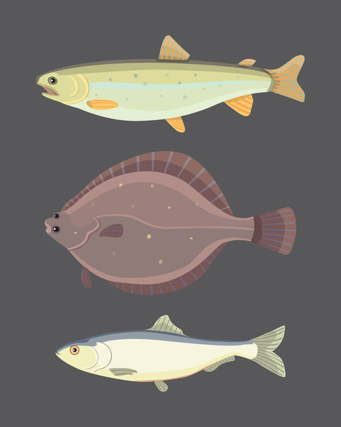 Isolated river fish. Set of freshwater sea cartoon fishes. Fauna ocean vector illustration - Vector, afbeelding