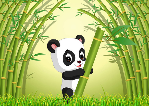 two cute panda in a bamboo forest - Vettoriali, immagini