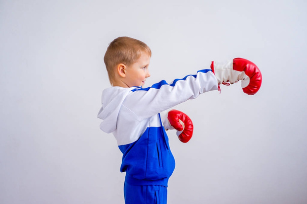 Little boy boxing - 写真・画像