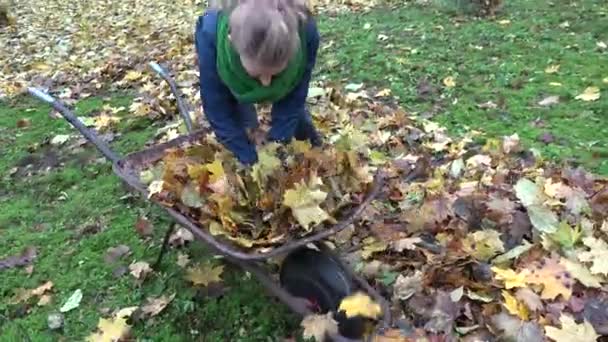 tuinman vrouw meisje belasting roestig kar met bladeren in de herfst tuin. Handheld. 4k - Video