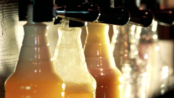 Különböző fajta sör sör a leágazók. - Felvétel, videó