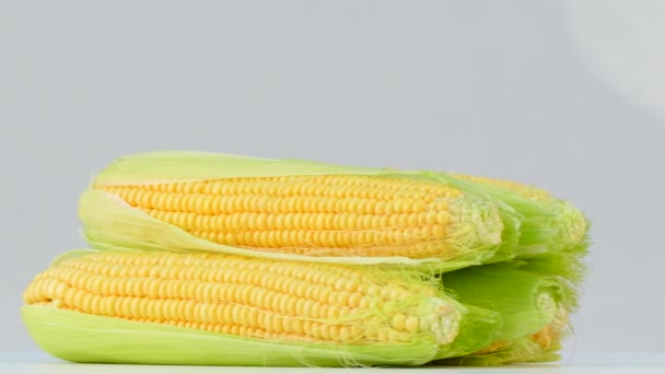 Kolby kukurydzy przędzenia na białym tle - Materiał filmowy, wideo