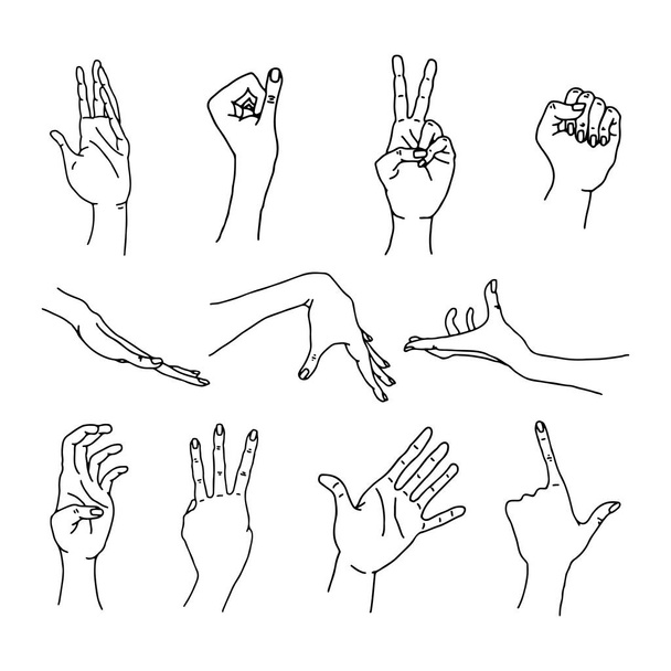 Colección de gestos contorno manos - vector
 - Vector, imagen
