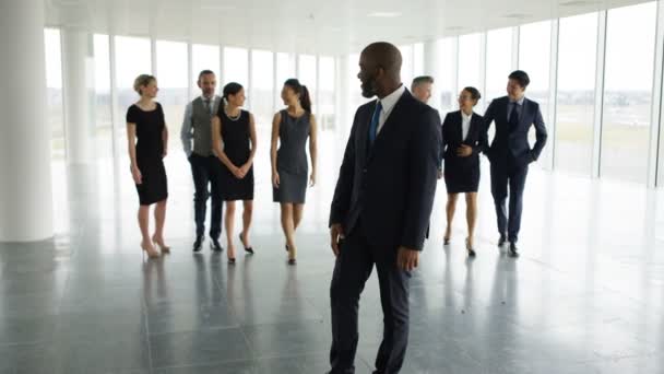4K Portrait heureuse équipe d'affaires multiraciale dans un grand bureau ouvert
 - Séquence, vidéo