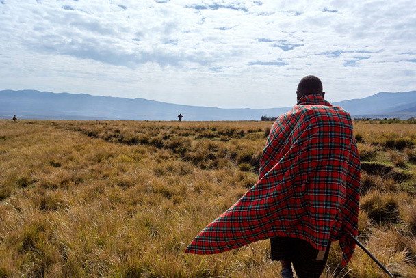 Masai περπάτημα σε το: Ngorongoro conservation area - Φωτογραφία, εικόνα