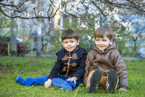 Feliz irmãozinhos crianças no jardim da primavera com árvores florescentes
, - Foto, Imagem