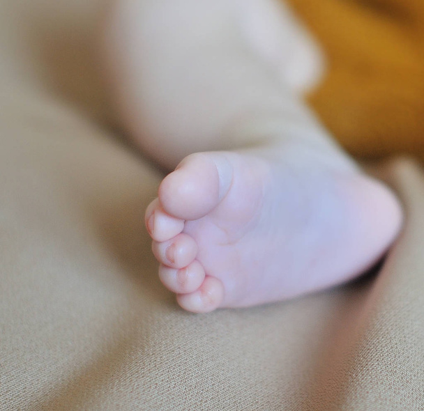 Close up of newborn baby feet - Foto, afbeelding