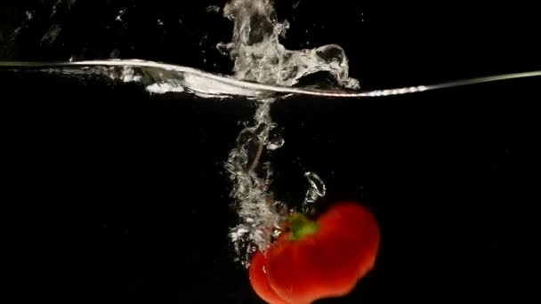 red Sweet Peppers, capsicum annuum, Vegetable falling into Water against Black Background - Кадри, відео