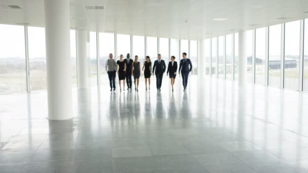 4K Ritratto felice team aziendale multirazziale in grande ufficio open space
 - Filmati, video